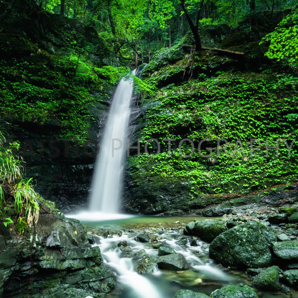 画像: 青々とした森林の中に位置する美しい滝の風景。透き通った水が岩を伝い、自然の静寂を感じさせます。場所: 森の滝、ハイ