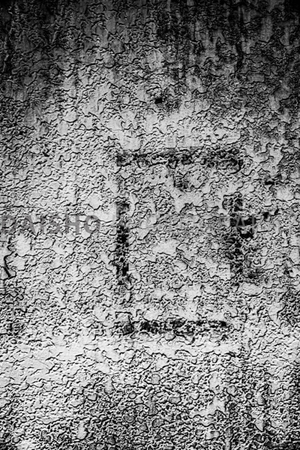 画像: 画像は、荒れたコンクリートの壁の白黒写真です。ひび割れ模様や苔のようなテクスチャーが見られます。場所は不明ですが、都市部の