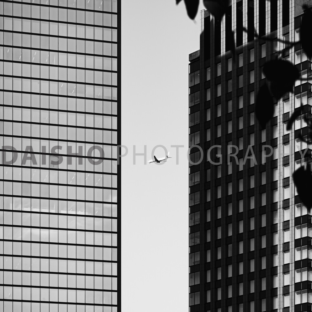 画像: 高層ビルの間を飛行機が飛んでいるモノクロ写真です。ビルのガラス窓が都市の風景を映し出し、手前にはシルエットの葉が