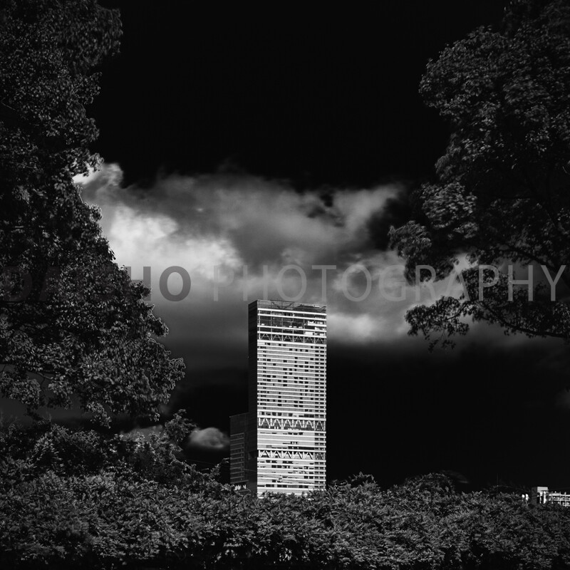 画像: 黒と白の写真に、木々に囲まれた高層ビルが映し出されています。手前にはベンチに座る人物も見られます。このシーンは自然と都市の対比